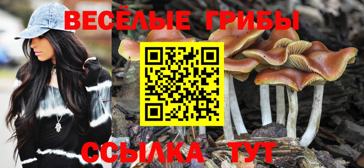 Галлюциногенные грибы мицелий Ревда